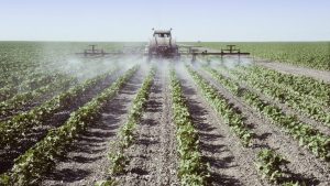 Blootstelling aan pesticiden verhoogt kans op spierziekte ALS