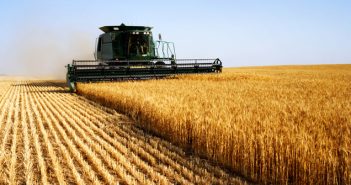 8 dodelijke ongevallen tijdens werk in agrarische en groene sector 2019 dodelijke-ongevallen-groene-sector-2019