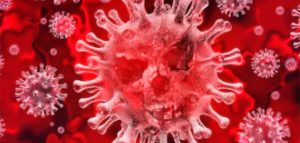 Toxic Whitepaper Het coronavirus en de coronacrisis met stappenplan